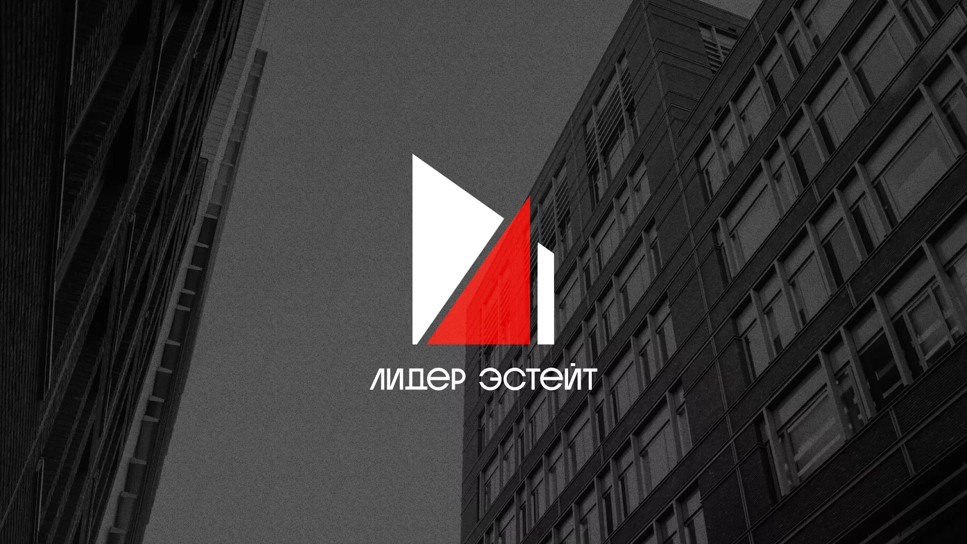 Сделали логотип для агентства недвижимости «Лидер Эстейт» в Вольске